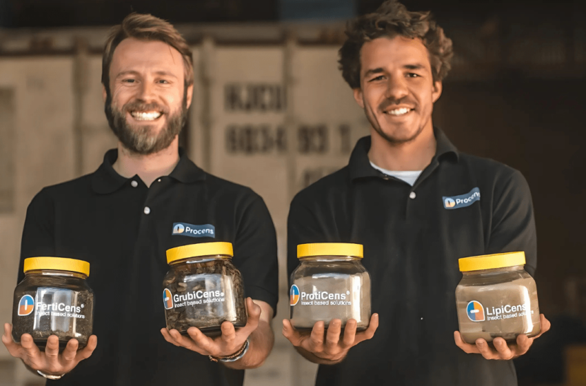  Insectos que valen millones: La revolución verde que transforma residuos en oportunidades