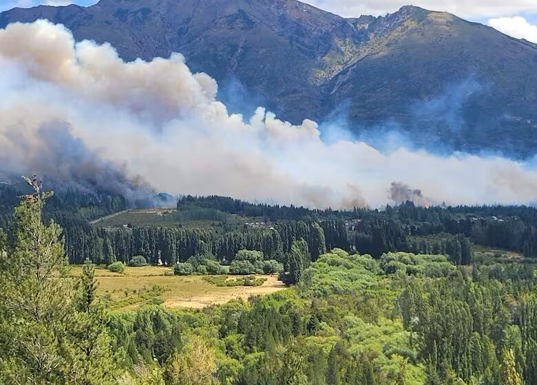  Medio ambiente: jóvenes muestran menor interés en temas ecológicos, según encuesta reciente