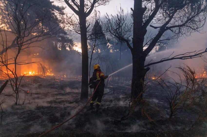  Chubut ofrece $10 millones para identificar a los responsables de incendios forestales