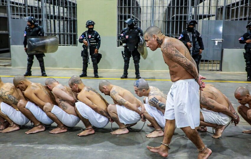  Bukele le ofrece a Trump su megacárcel para recluir “criminales” estadounidenses y extranjeros a cambio de una “tarifa”